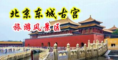 插b网站免费观看中国北京-东城古宫旅游风景区